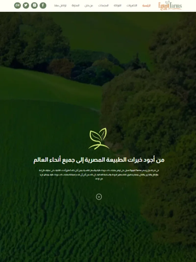واجهة موقع Egypt Farms للمنتجات الزراعية